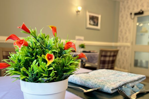 Aaron-House-Care-Home (5)