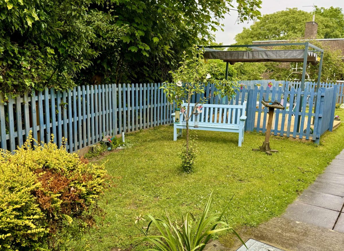 Garden 2