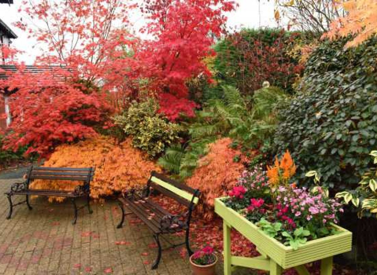 Hillcrest care home