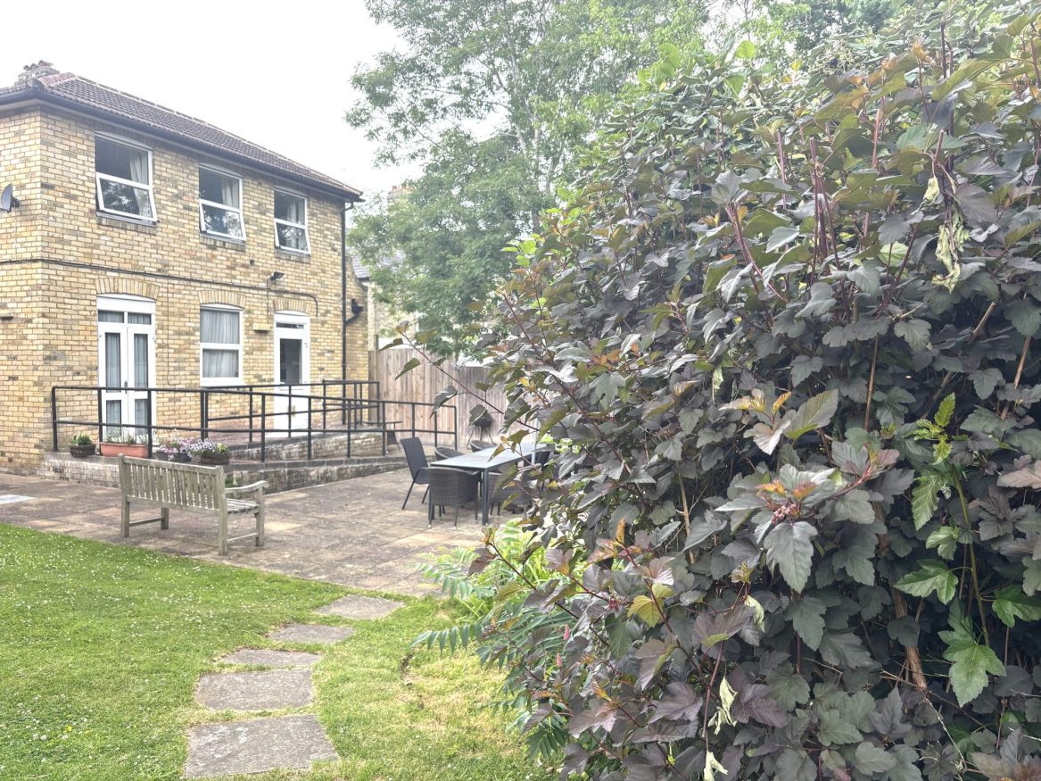 Kenwood (1)