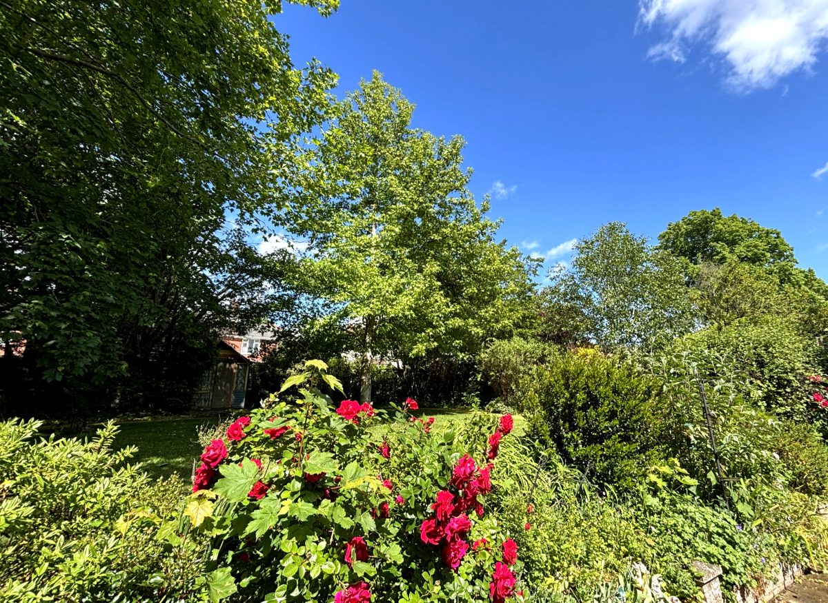 care-home-garden