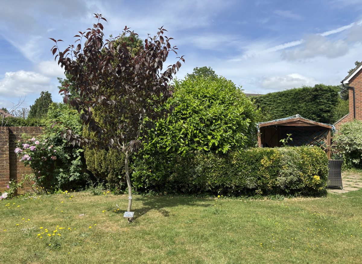 buxton-lodge (2)